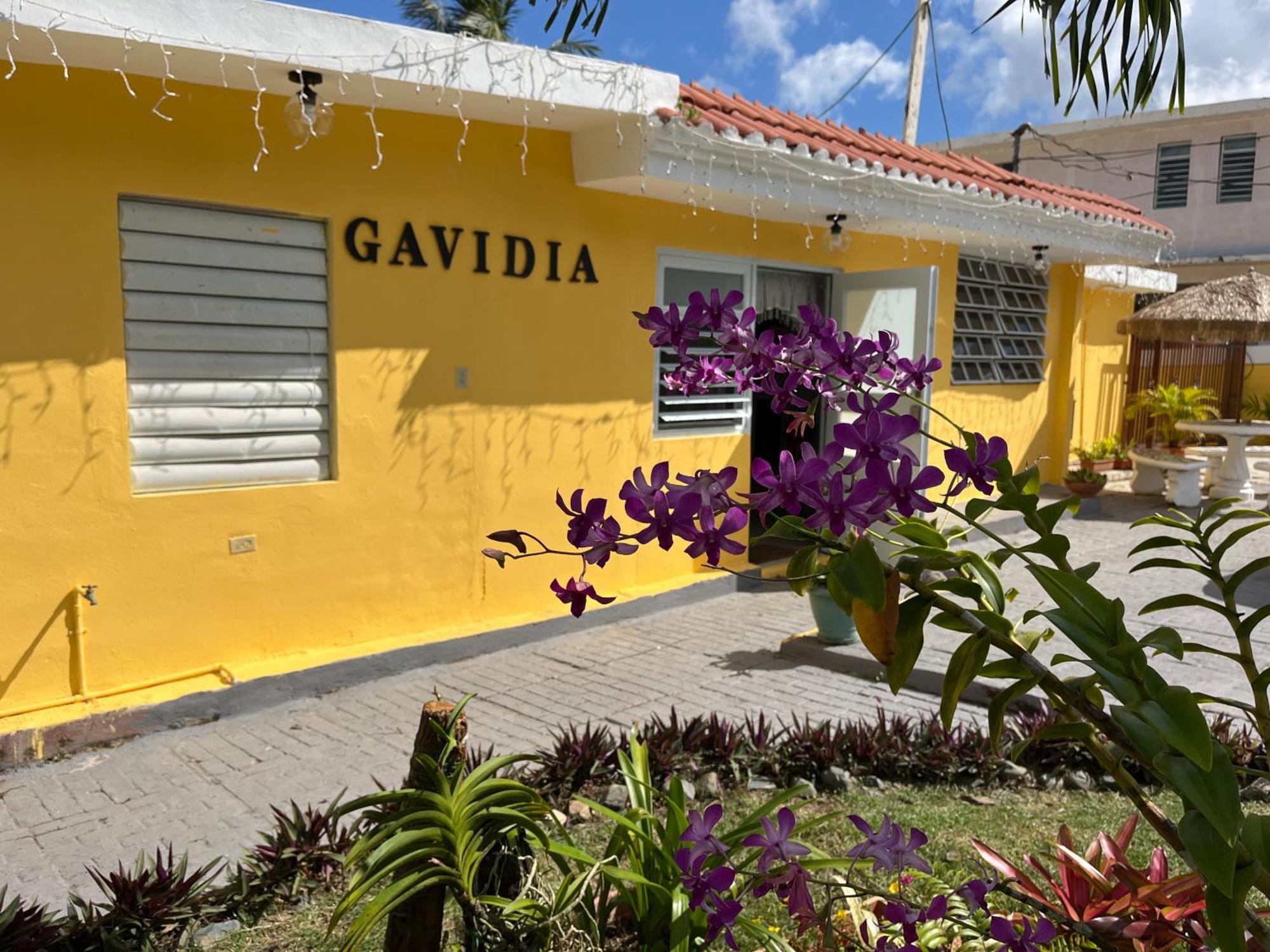 Gavidias Guest House San Lorenzo Экстерьер фото